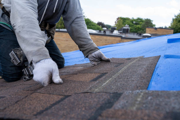 Best Slate Roofing Contractor  in Oglethorpe, GA