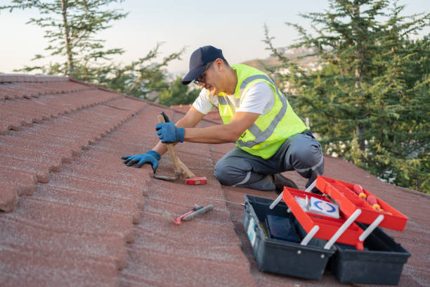 Sealant for Roof in Oglethorpe, GA