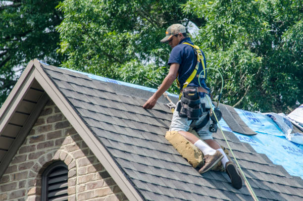Best Residential Roofing Contractor  in Oglethorpe, GA